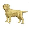 Scully & Scully 18k Gold Labrador Pin -Jewelry Shop unnamed file 126