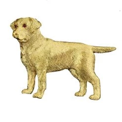 Scully & Scully 18k Gold Labrador Pin