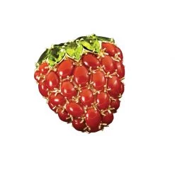 Scully & Scully 18k Gold Coral & Peridot Strawberry Pin / Pendant