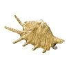 Scully & Scully 18k Gold Spikey Shell Pin -Jewelry Shop unnamed file 244