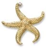 Scully & Scully 18k Yellow Gold Starfish Pin